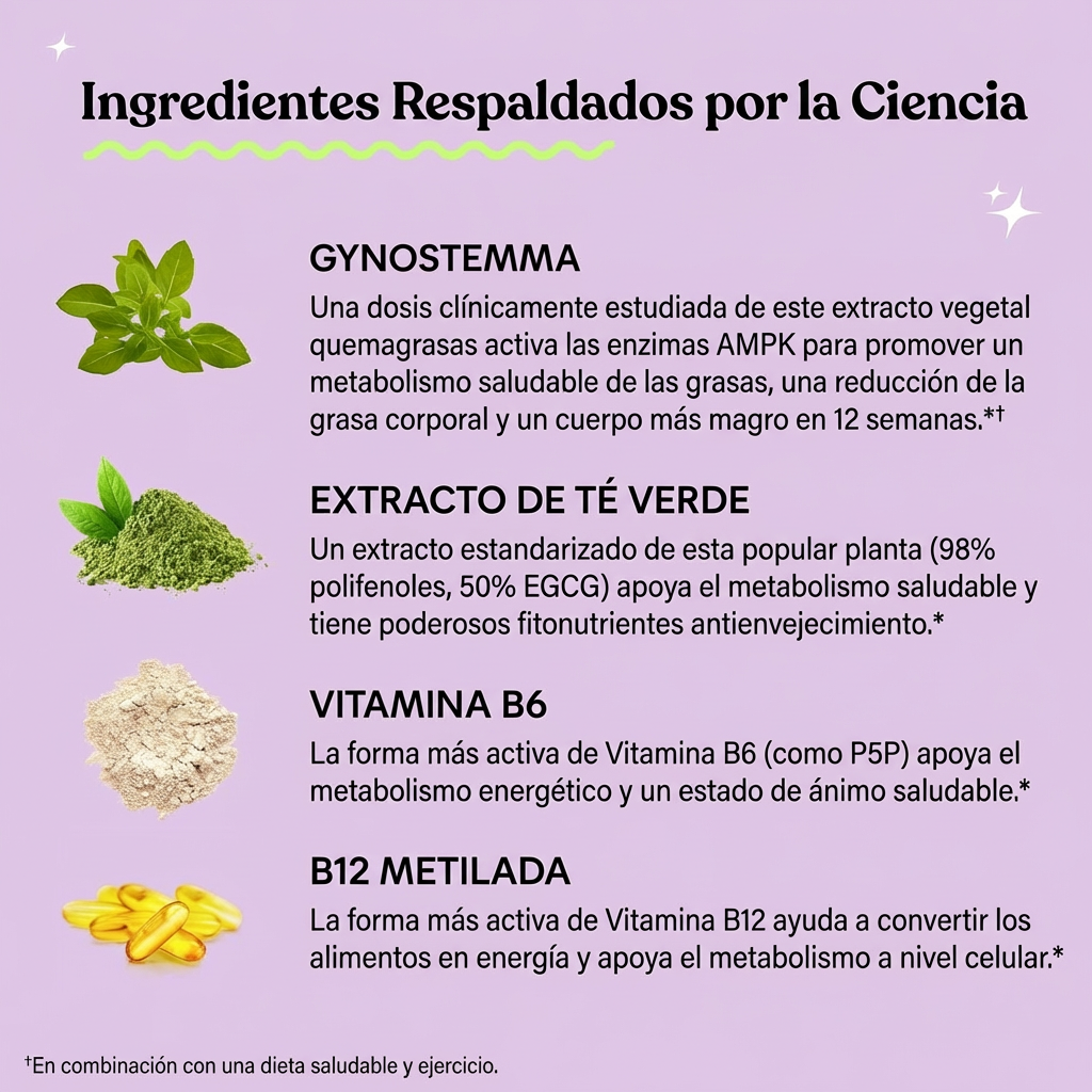 OFERTA 2X1 - Lemme Burn : Apoyo al Metabolismo y Reducción de Grasa Abdominal