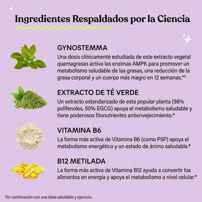 OFERTA 2X1 - Lemme Burn : Apoyo al Metabolismo y Reducción de Grasa Abdominal